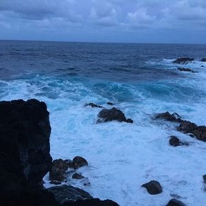 Meet your Posher, Sandi